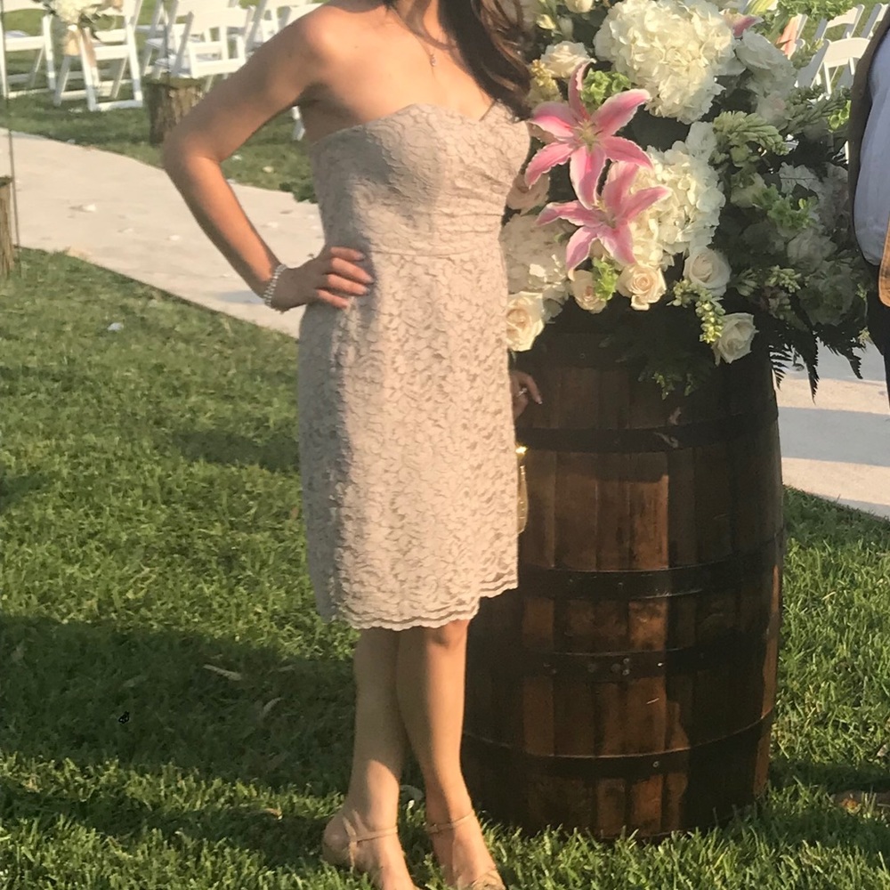 David’s Bridal nude/mauve lace dress. Fully lined